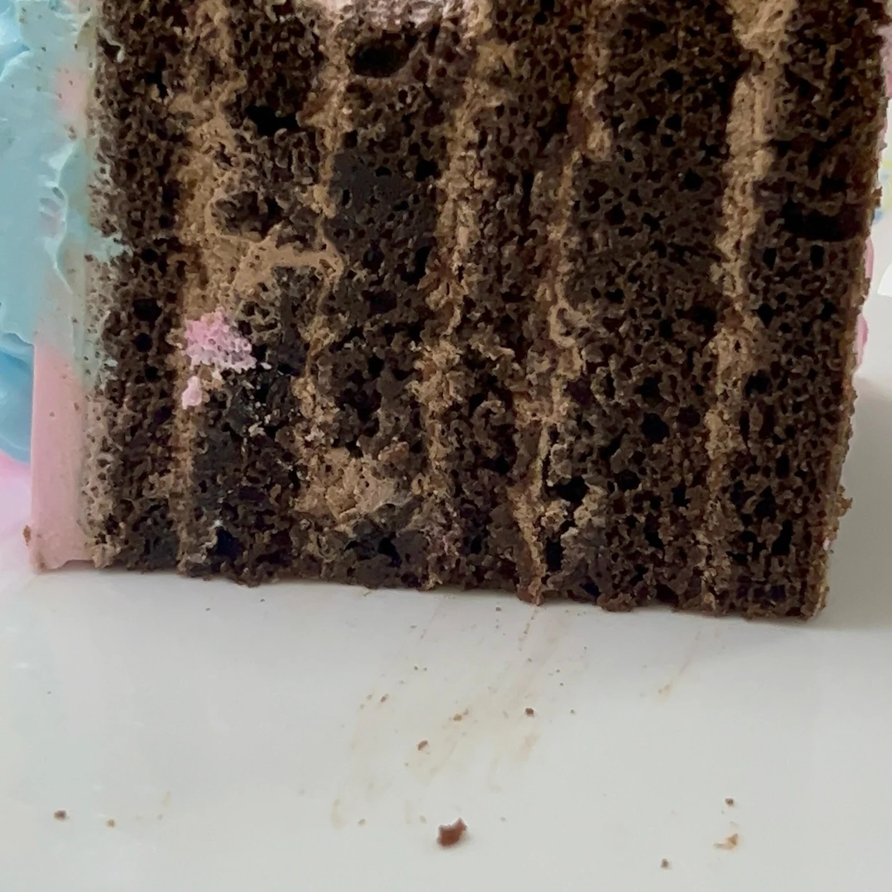 Chocolate layer cake slice
