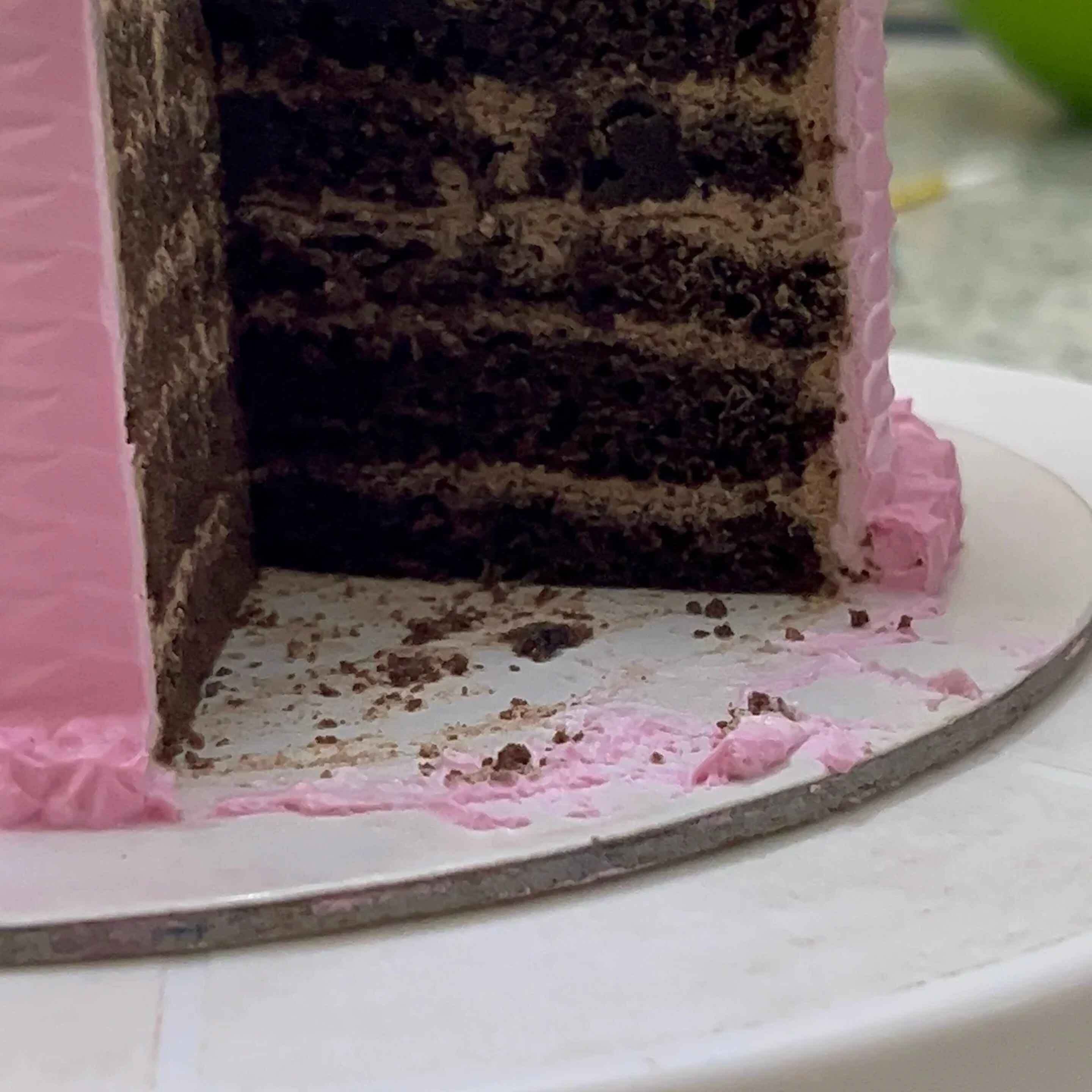 Pink celebration cake cross-section